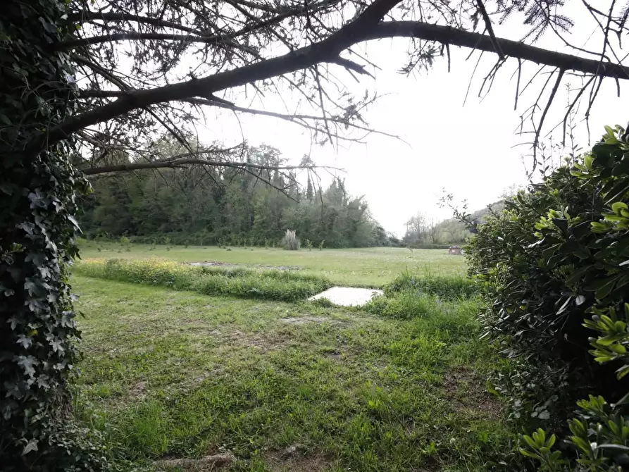 Immagine 34 di Casa indipendente in vendita  a Crespina Lorenzana