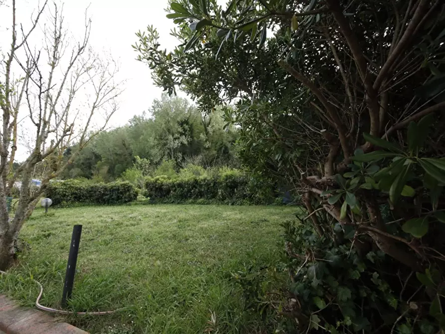 Immagine 33 di Casa indipendente in vendita  a Crespina Lorenzana