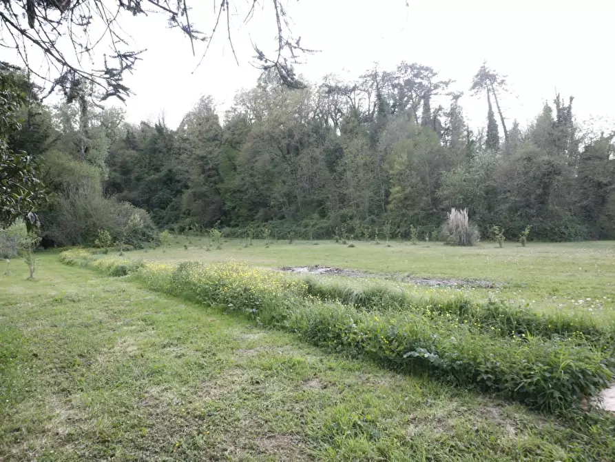 Immagine 38 di Casa indipendente in vendita  a Crespina Lorenzana