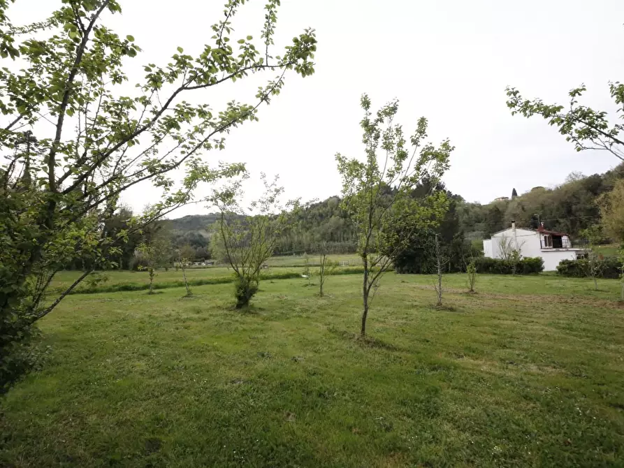 Immagine 6 di Casa indipendente in vendita  a Crespina Lorenzana