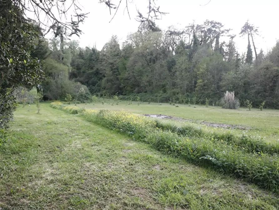 Immagine 37 di Casa indipendente in vendita  a Crespina Lorenzana