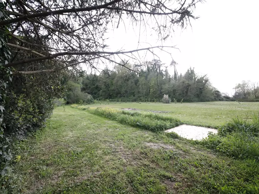 Immagine 35 di Casa indipendente in vendita  a Crespina Lorenzana