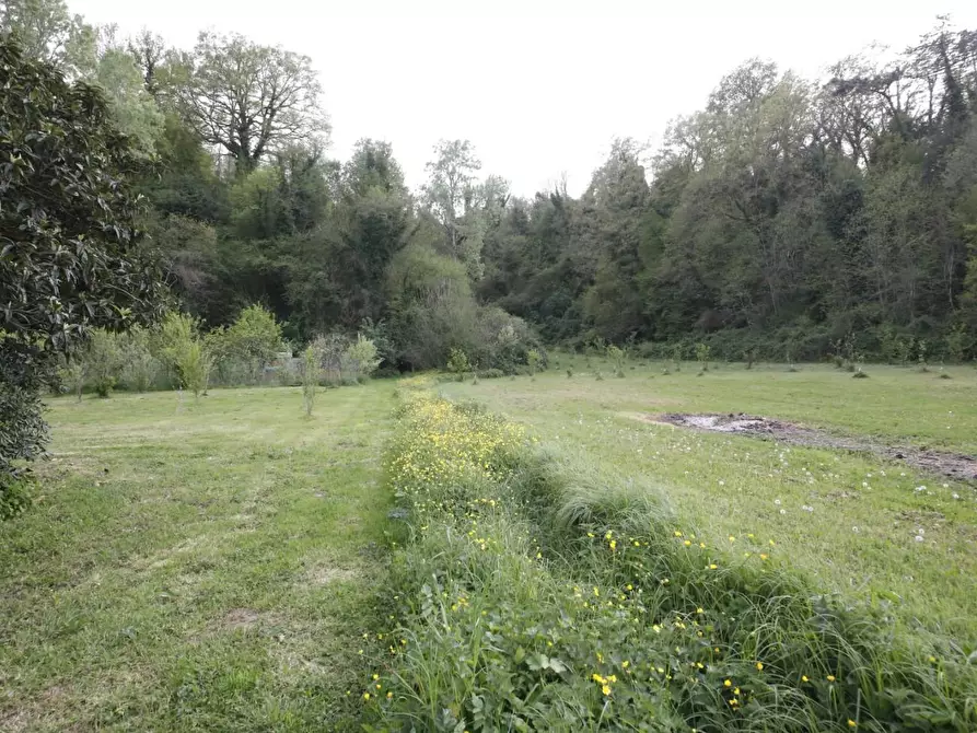 Immagine 39 di Casa indipendente in vendita  a Crespina Lorenzana