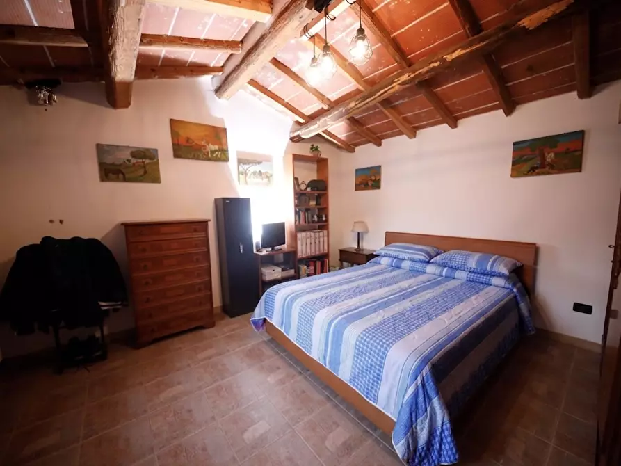 Immagine 18 di Casa indipendente in vendita  a Crespina Lorenzana