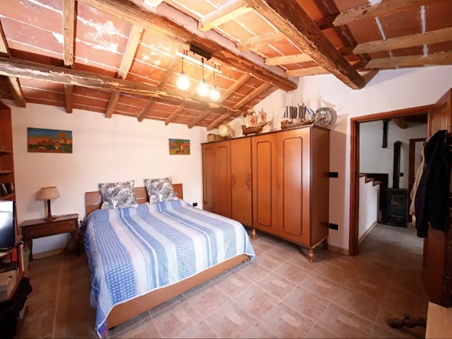 Immagine 17 di Casa indipendente in vendita  a Crespina Lorenzana