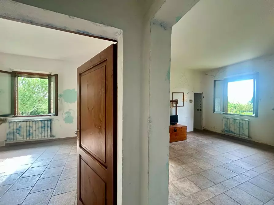 Immagine 32 di Casa colonica in vendita  a Asciano