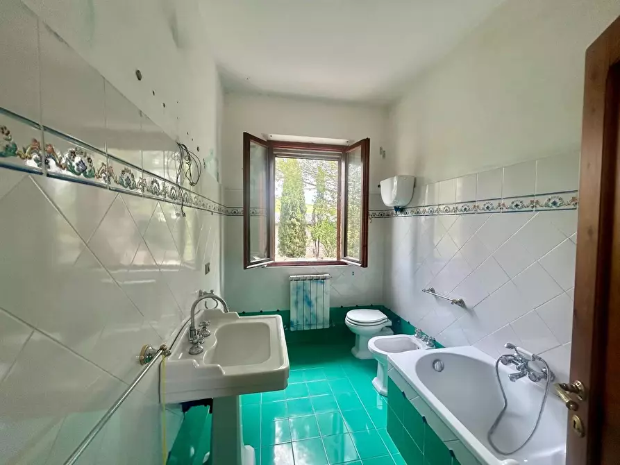 Immagine 31 di Casa colonica in vendita  a Asciano