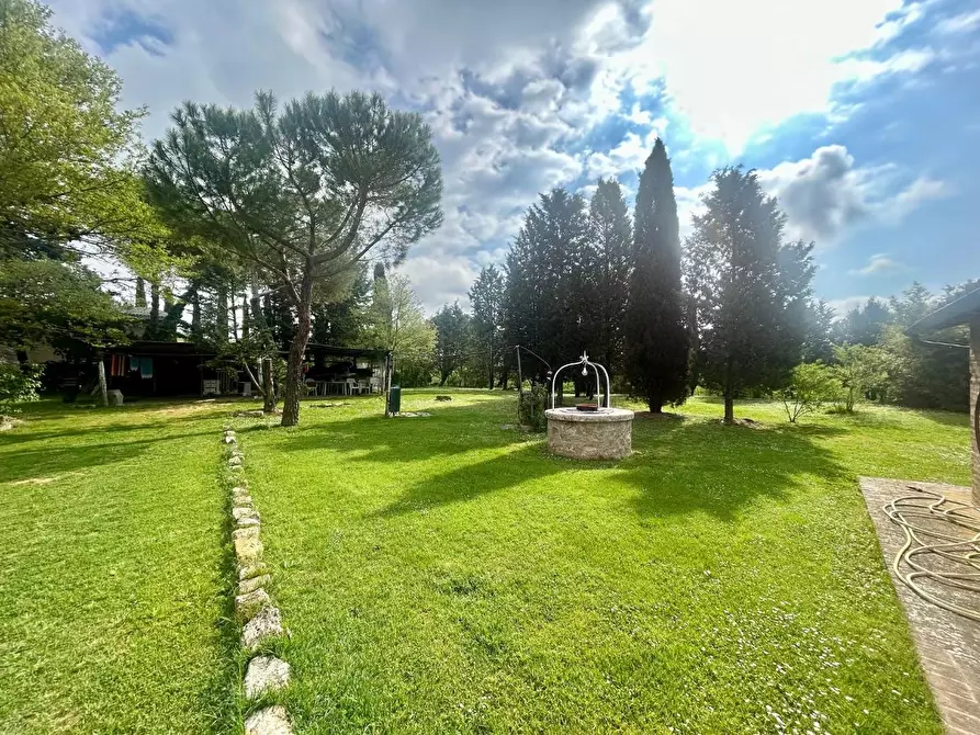Immagine 11 di Casa colonica in vendita  a Asciano