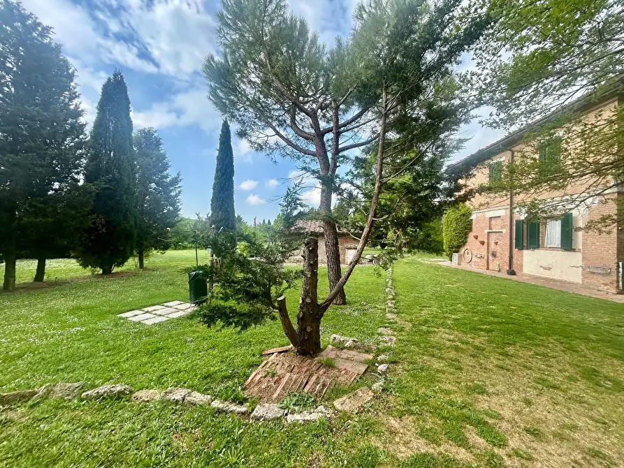 Immagine 6 di Casa colonica in vendita  a Asciano