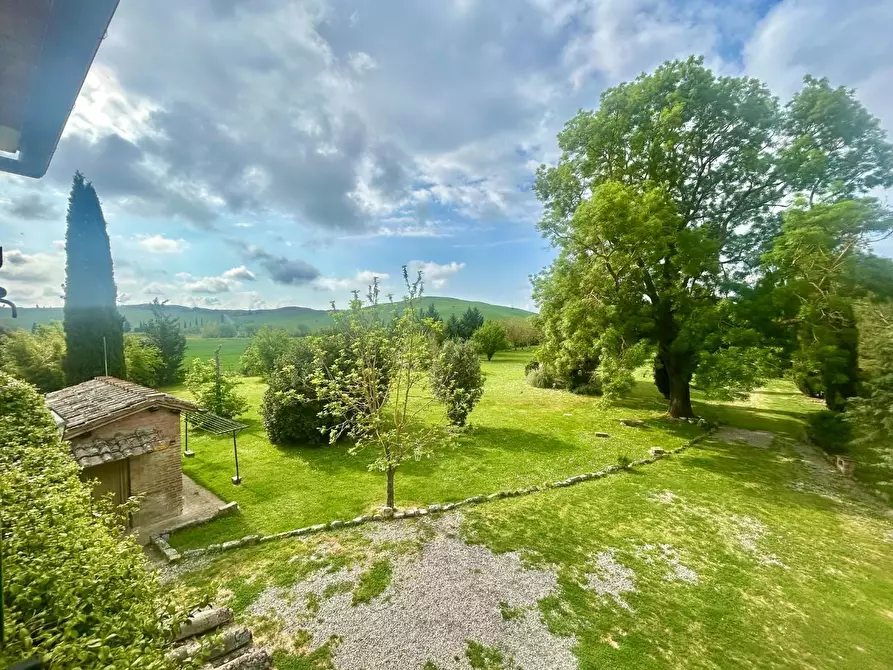 Immagine 23 di Casa colonica in vendita  a Asciano