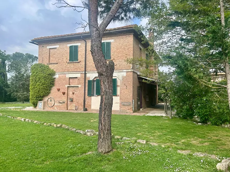 Immagine 2 di Casa colonica in vendita  a Asciano