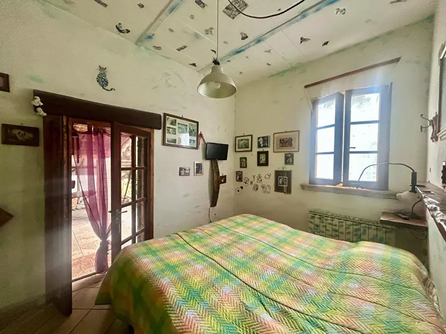 Immagine 17 di Casa colonica in vendita  a Asciano