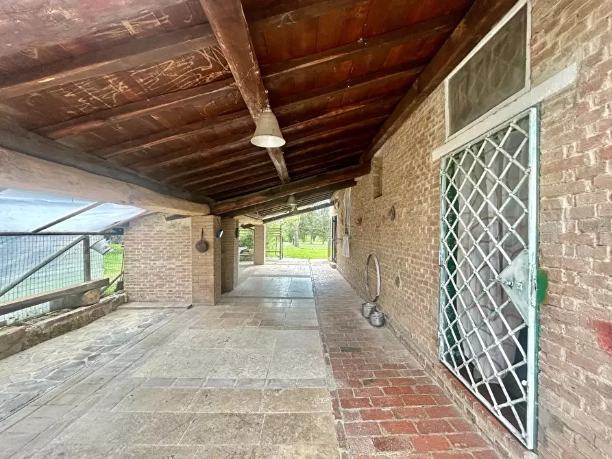 Immagine 7 di Casa colonica in vendita  a Asciano
