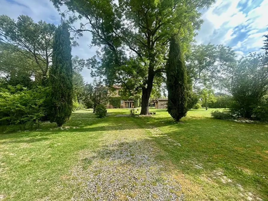 Immagine 9 di Casa colonica in vendita  a Asciano