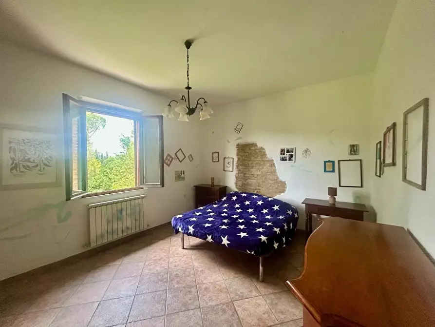 Immagine 25 di Casa colonica in vendita  a Asciano