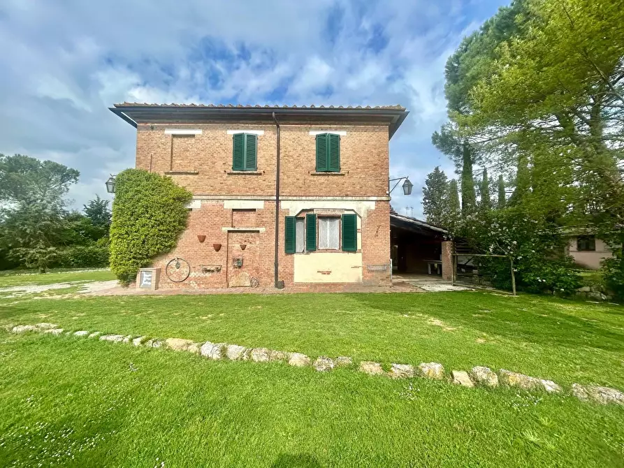 Immagine 3 di Casa colonica in vendita  a Asciano