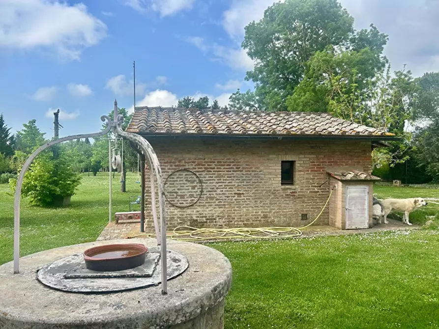 Immagine 4 di Casa colonica in vendita  a Asciano