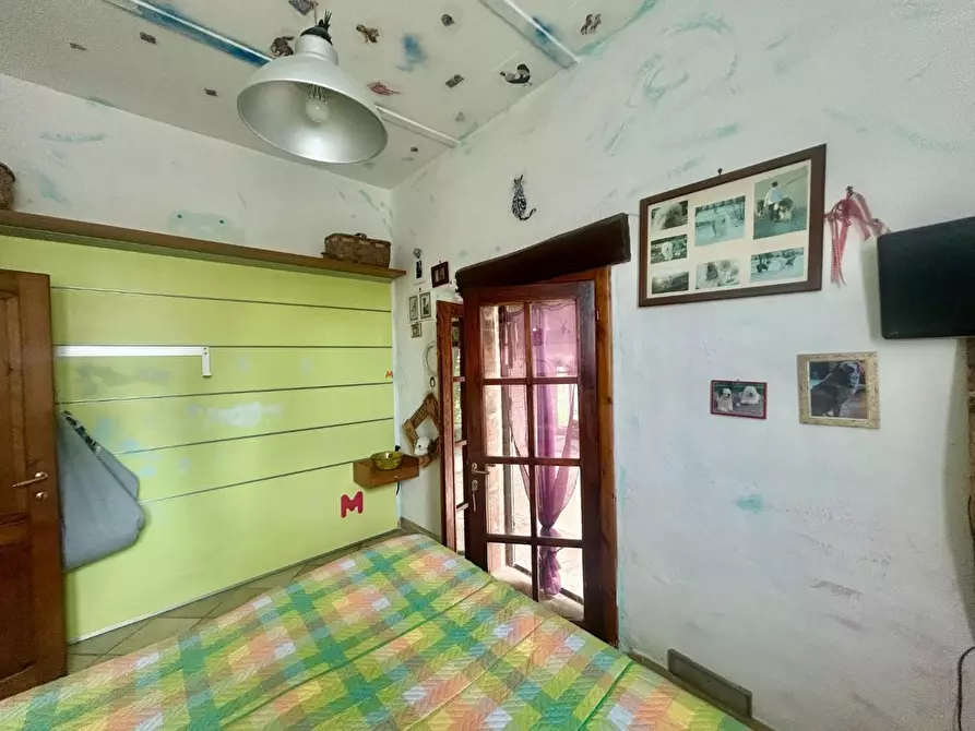 Immagine 18 di Casa colonica in vendita  a Asciano