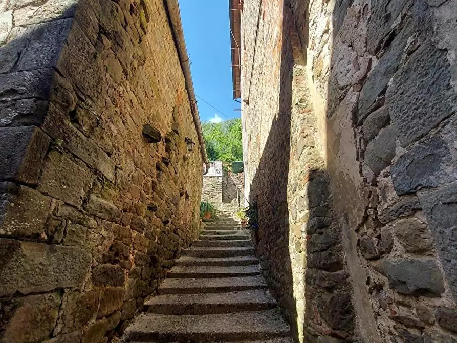 Immagine 33 di Terratetto in vendita  a Lucca