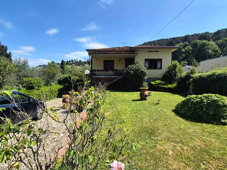 Immagine 2 di Villa in vendita  a Capannori