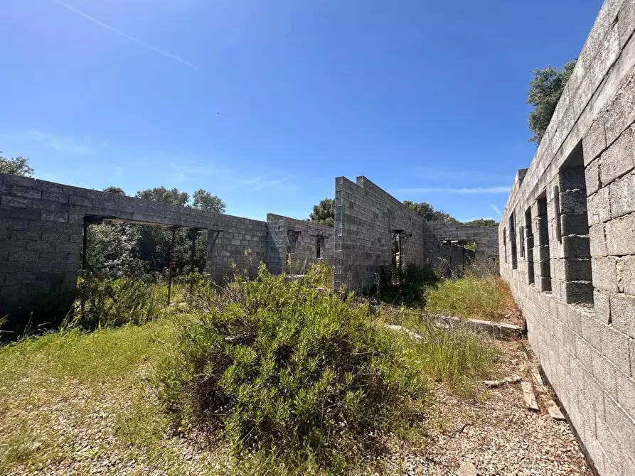 Immagine 39 di Terreno agricolo in vendita  a Arzachena