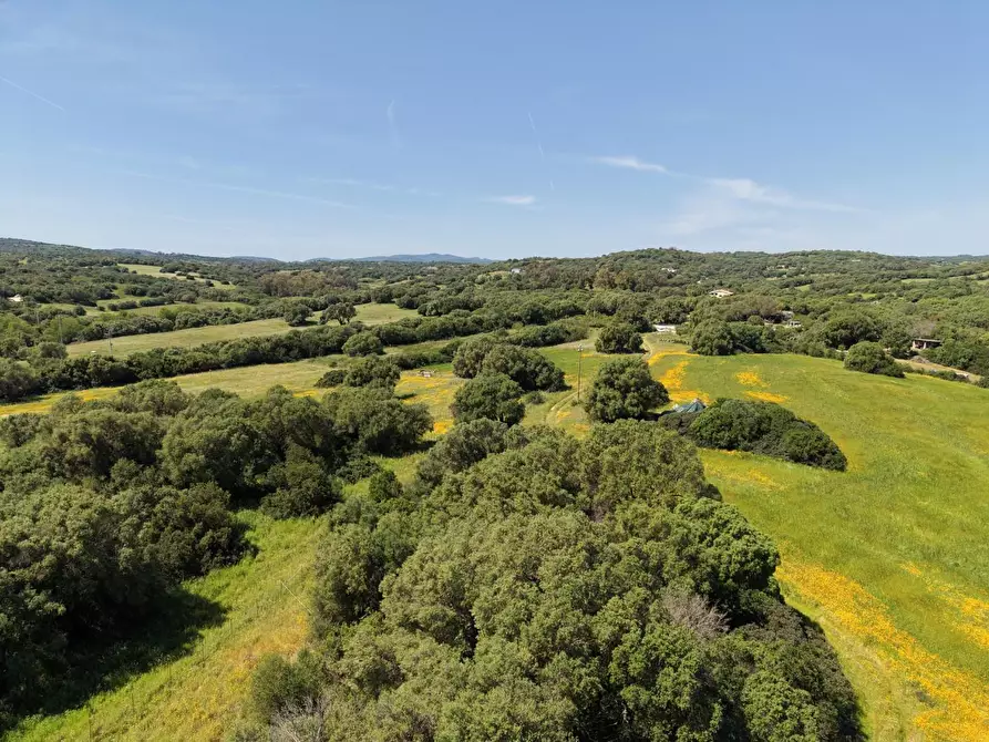 Immagine 2 di Terreno agricolo in vendita  a Arzachena