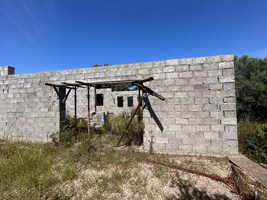 Immagine 26 di Terreno agricolo in vendita  a Arzachena