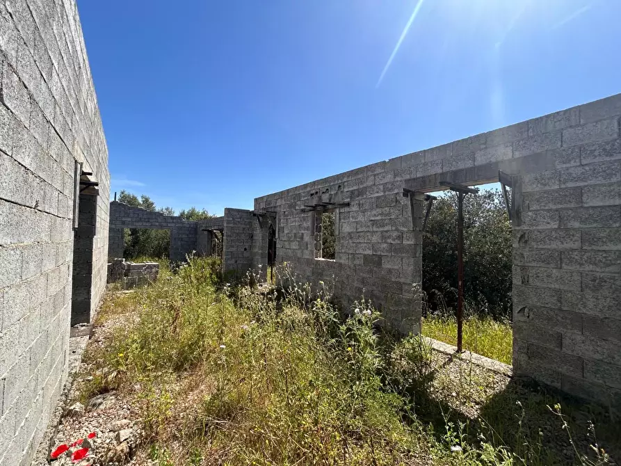 Immagine 33 di Terreno agricolo in vendita  a Arzachena