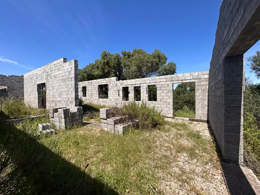 Immagine 28 di Terreno agricolo in vendita  a Arzachena