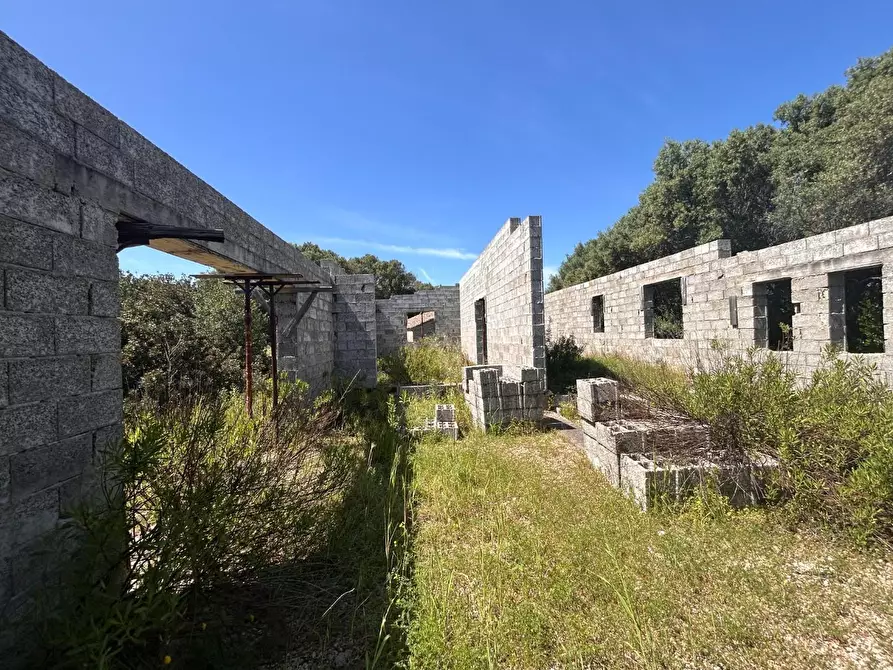 Immagine 40 di Terreno agricolo in vendita  a Arzachena
