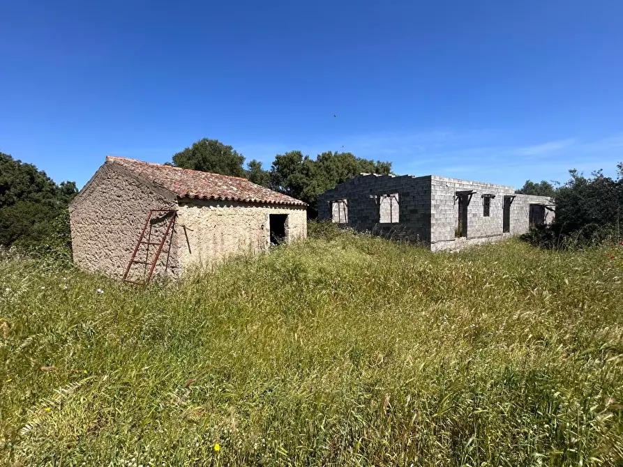 Immagine 21 di Terreno agricolo in vendita  a Arzachena