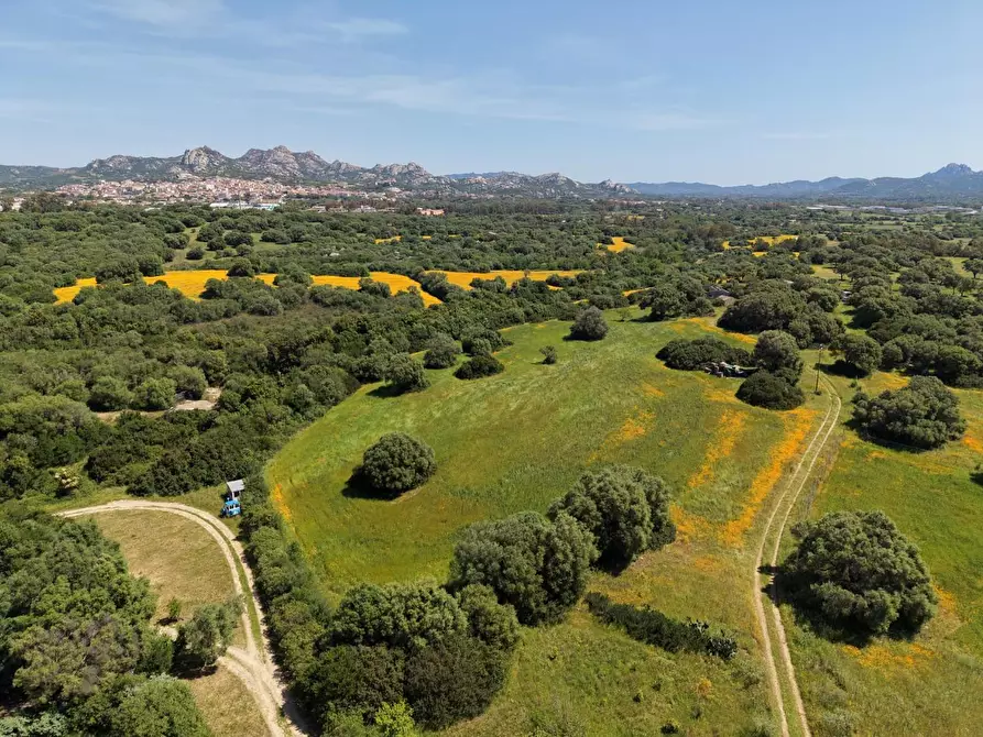 Immagine 1 di Terreno agricolo in vendita  a Arzachena