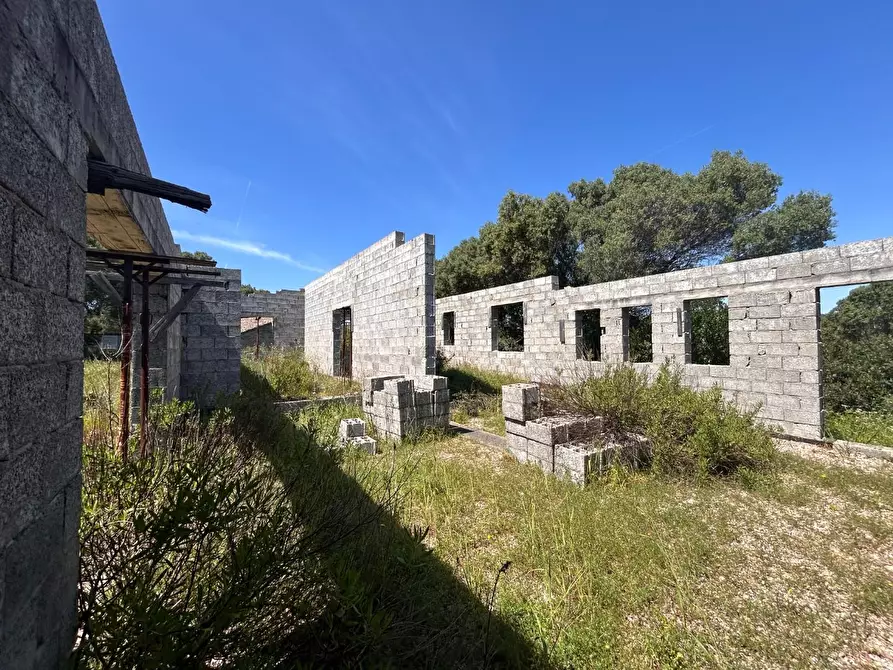 Immagine 25 di Terreno agricolo in vendita  a Arzachena