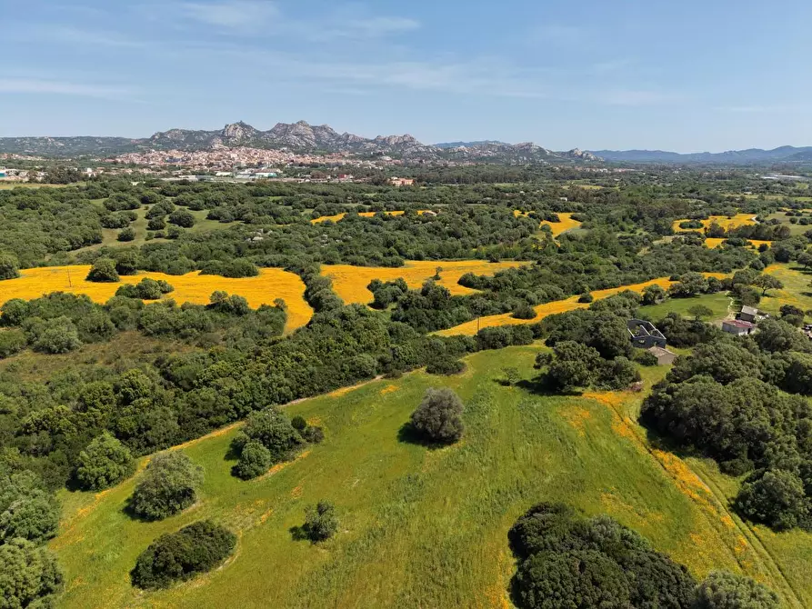 Immagine 10 di Terreno agricolo in vendita  a Arzachena