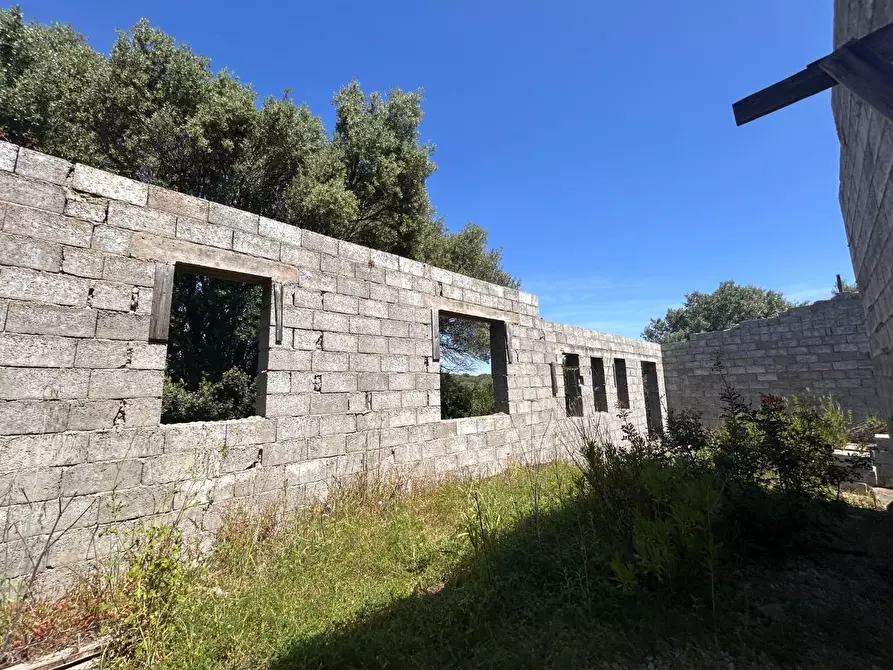 Immagine 31 di Terreno agricolo in vendita  a Arzachena