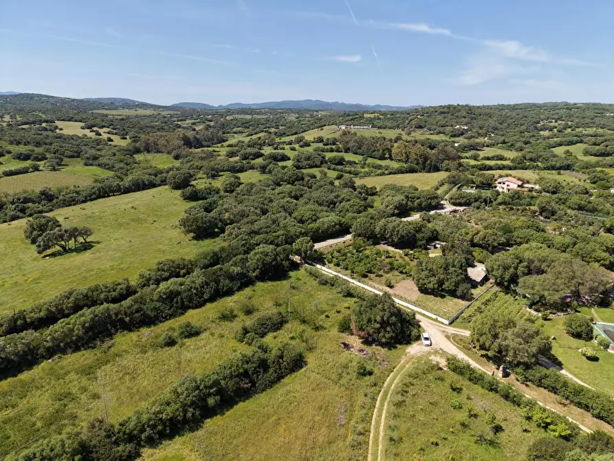 Immagine 12 di Terreno agricolo in vendita  a Arzachena