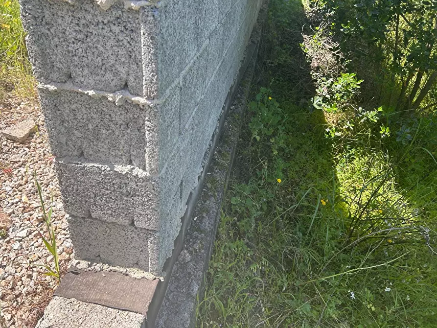 Immagine 36 di Terreno agricolo in vendita  a Arzachena