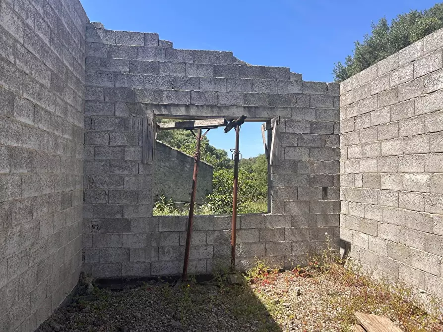 Immagine 35 di Terreno agricolo in vendita  a Arzachena