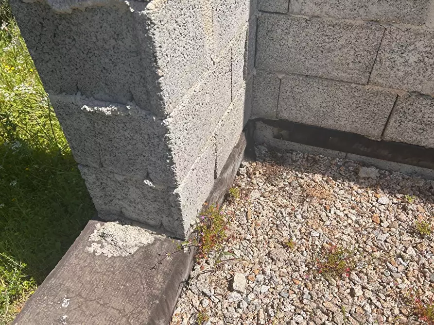Immagine 37 di Terreno agricolo in vendita  a Arzachena