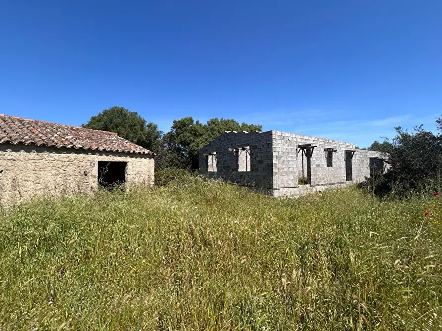 Immagine 20 di Terreno agricolo in vendita  a Arzachena