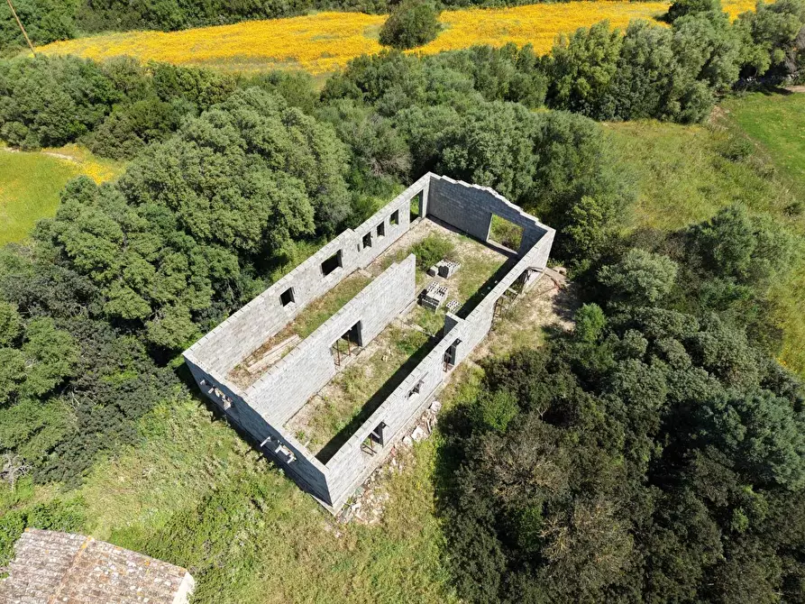 Immagine 22 di Terreno agricolo in vendita  a Arzachena