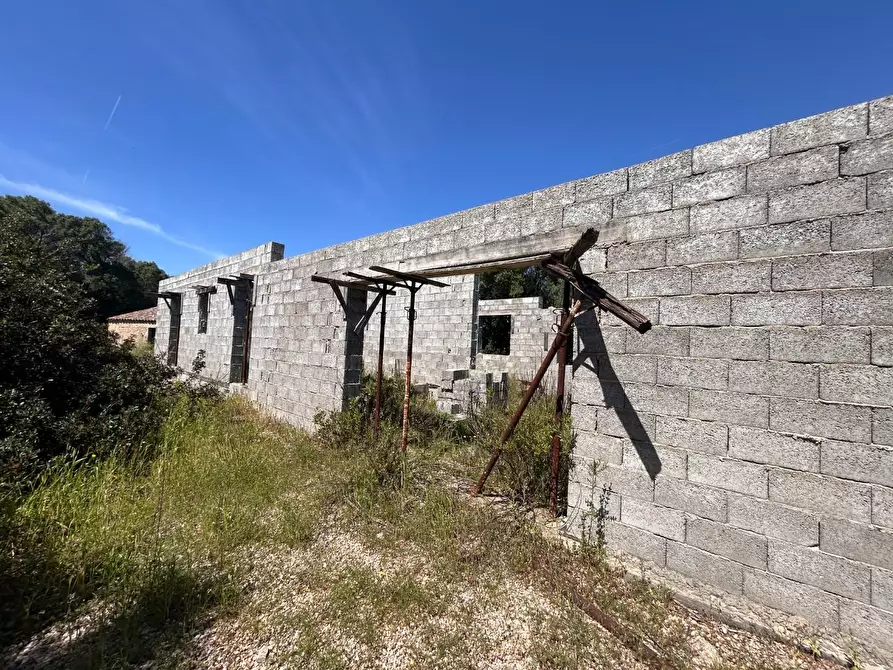 Immagine 24 di Terreno agricolo in vendita  a Arzachena