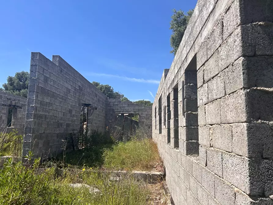 Immagine 38 di Terreno agricolo in vendita  a Arzachena