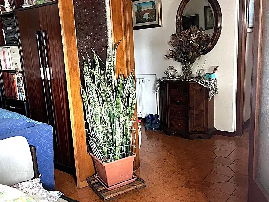 Immagine 1 di Appartamento in vendita  a Capannori