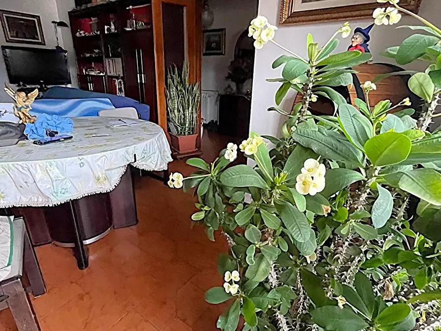 Immagine 8 di Appartamento in vendita  a Capannori