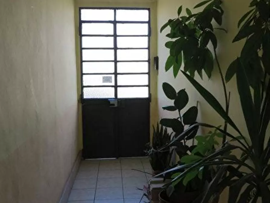 Immagine 4 di Appartamento in vendita  a Nichelino