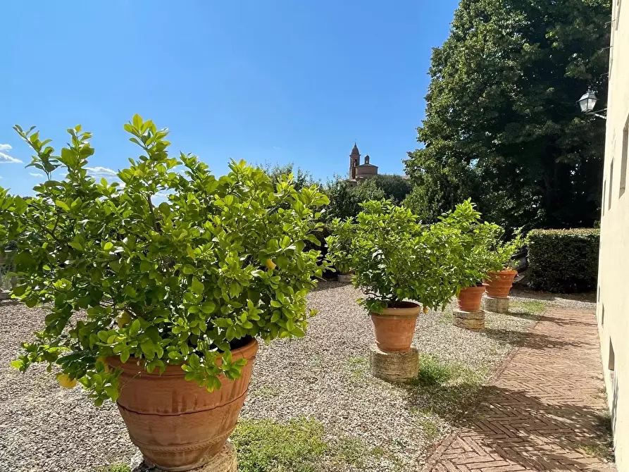 Immagine 23 di Villa in vendita  a Siena