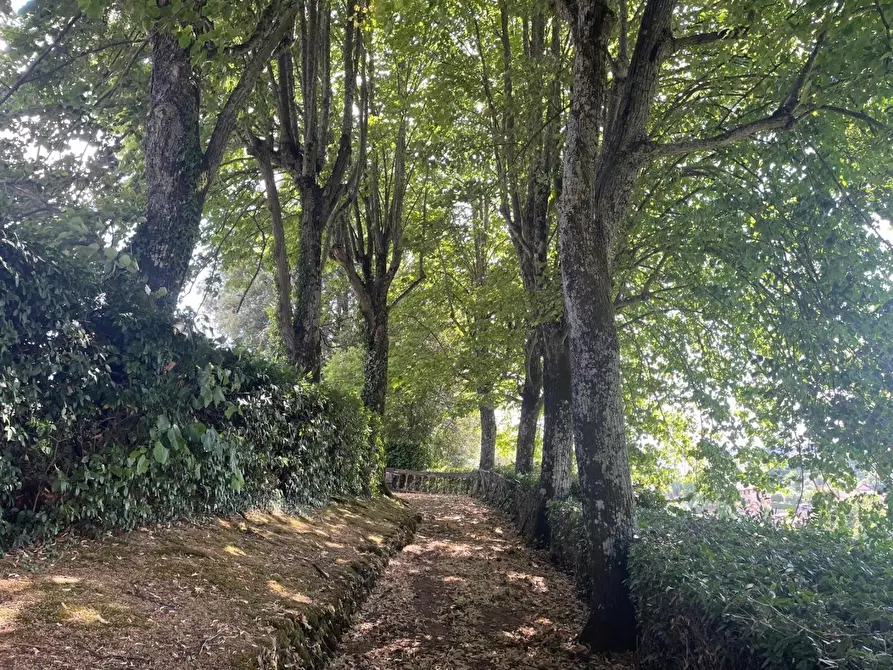 Immagine 26 di Villa in vendita  a Siena