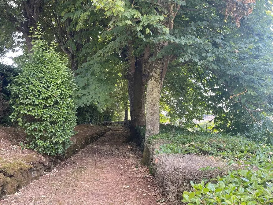 Immagine 27 di Villa in vendita  a Siena
