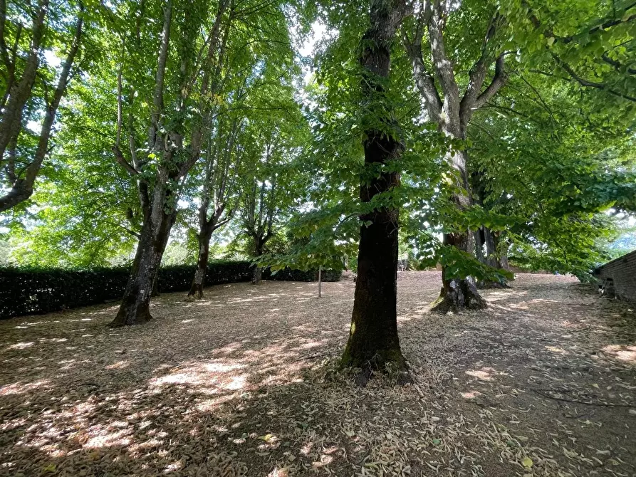 Immagine 22 di Villa in vendita  a Siena